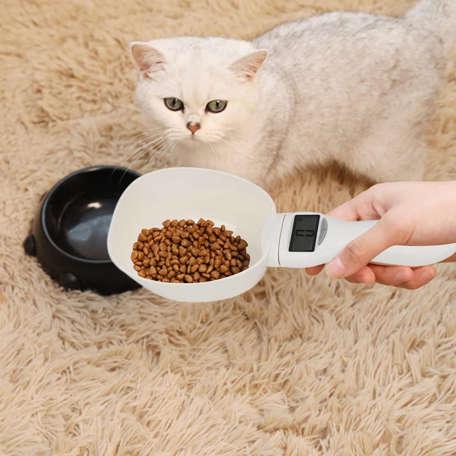 ช้อนตวงอาหารดิจิตอลสำหรับครัว  - Digital Kitchen Scale บทวิจารณ์และราคา